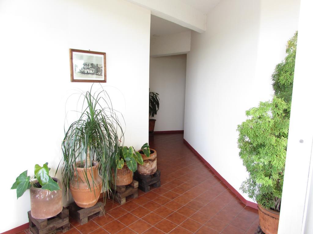 Hotel Puerto Piedra بويرتو إسكونديدو المظهر الخارجي الصورة