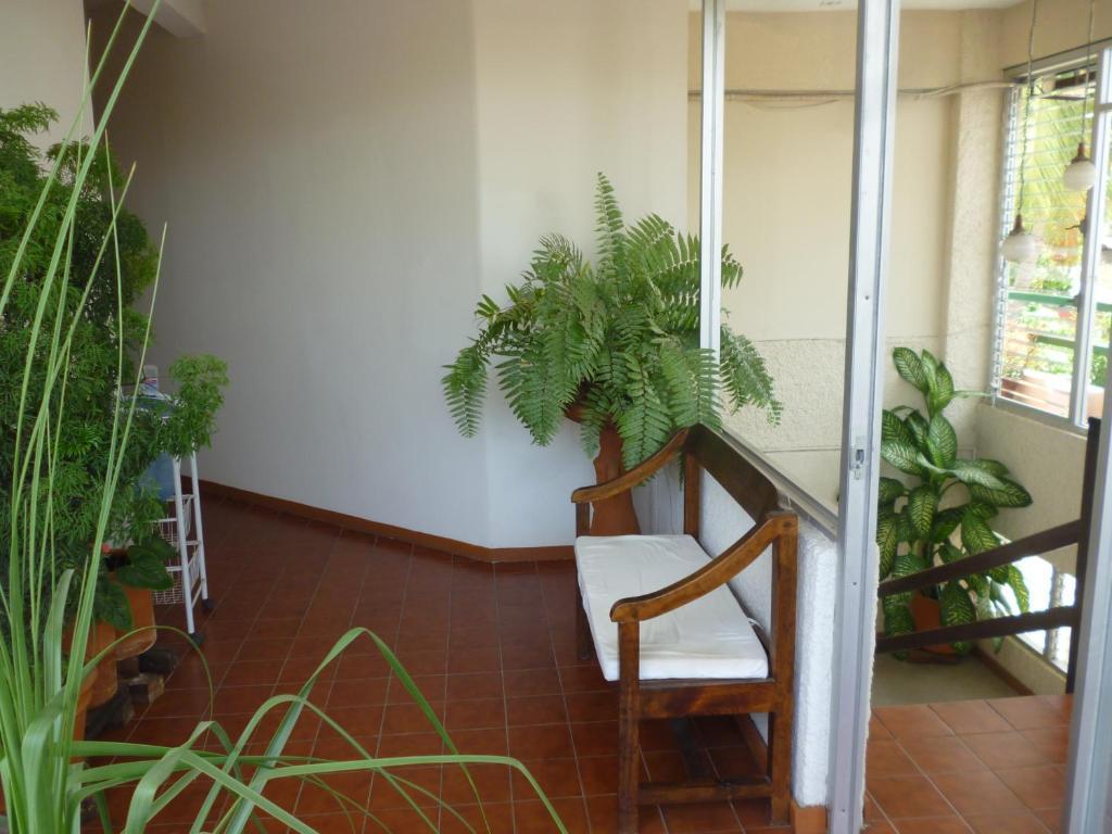 Hotel Puerto Piedra بويرتو إسكونديدو المظهر الخارجي الصورة
