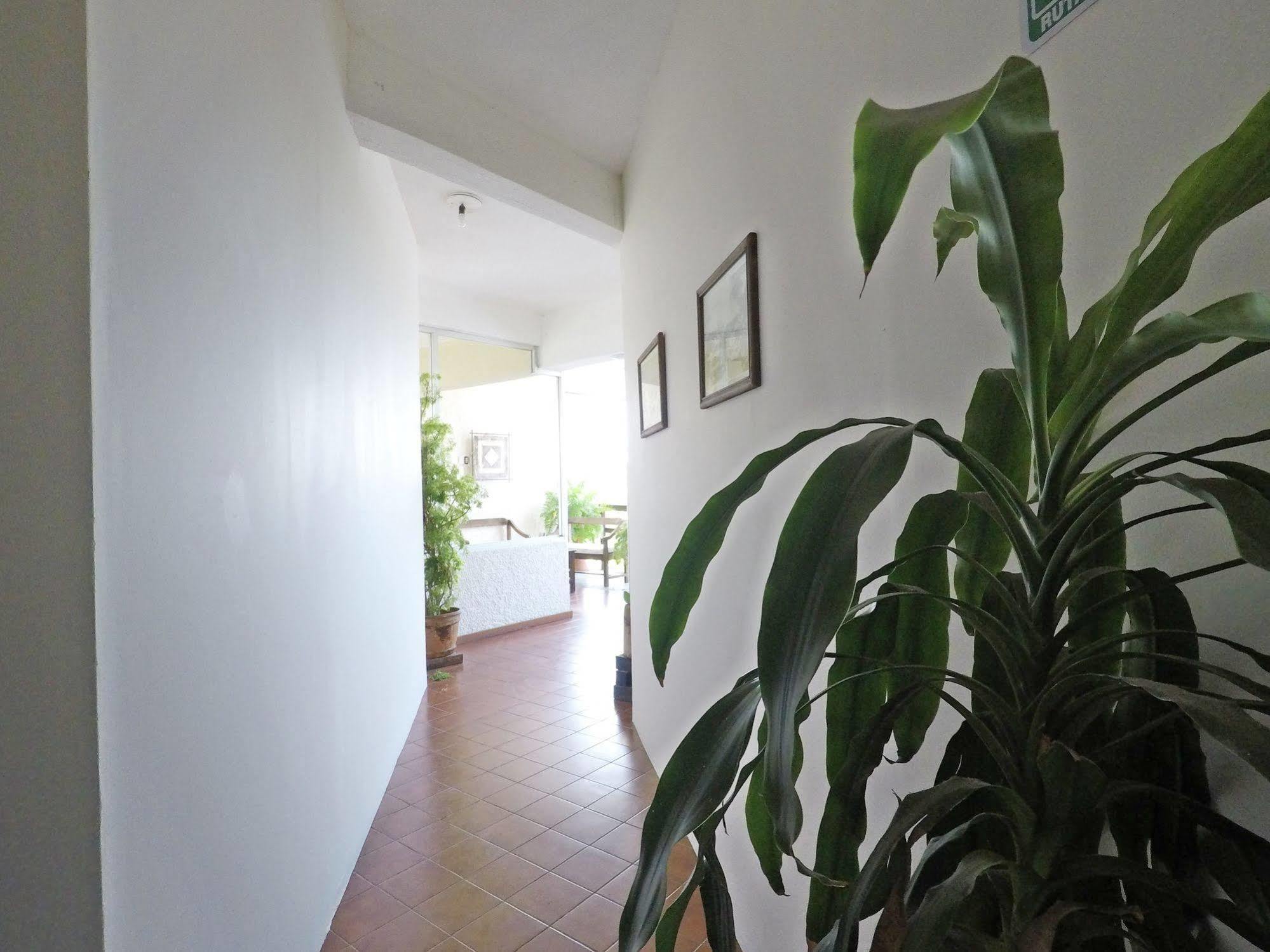 Hotel Puerto Piedra بويرتو إسكونديدو المظهر الخارجي الصورة